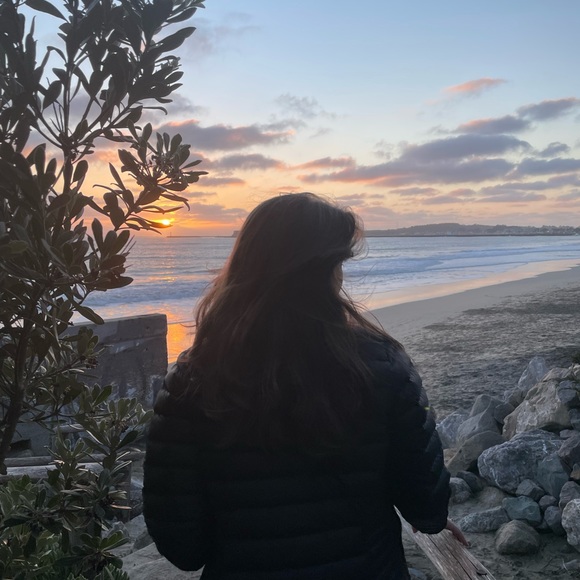sydneypicchi